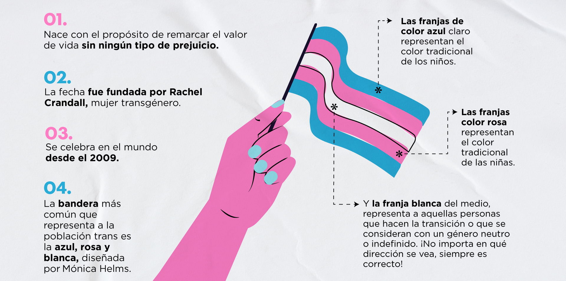 Explicación ilustrada de la bandera de la identidad Trans
