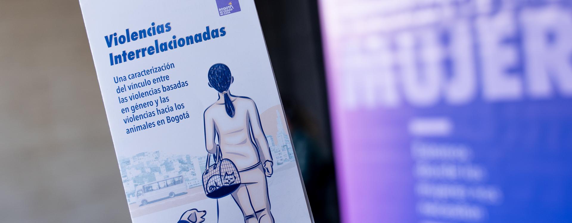 Violencias interrelacionadas 