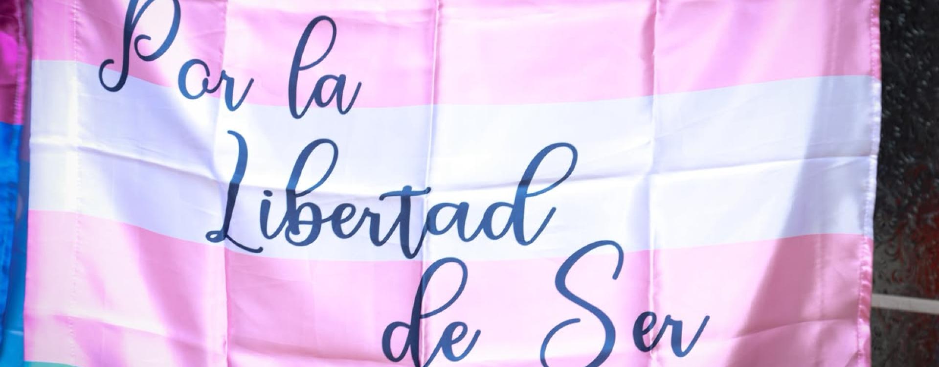 Bandera trans