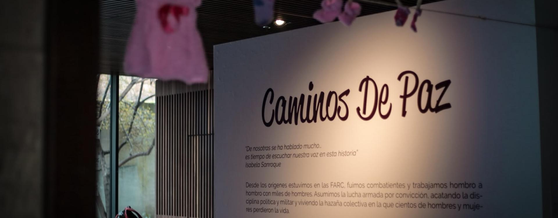 Mujeres firmantes de paz 
