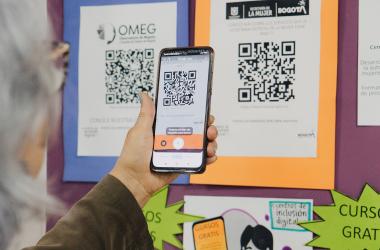 Profesional capacitadora