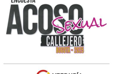 Encuesta acoso sexual callejero