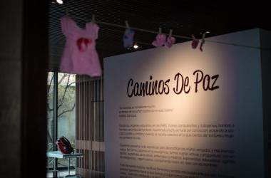 Mujeres firmantes de paz 