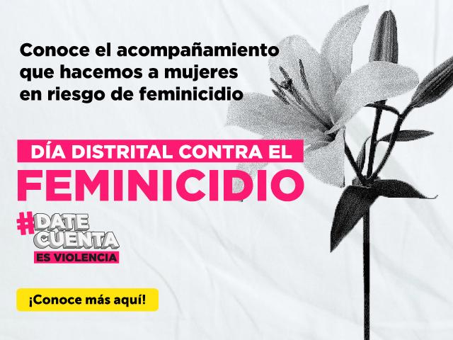 Imagen carrusel - 4 de diciembre Día Distrital contra el feminicidio