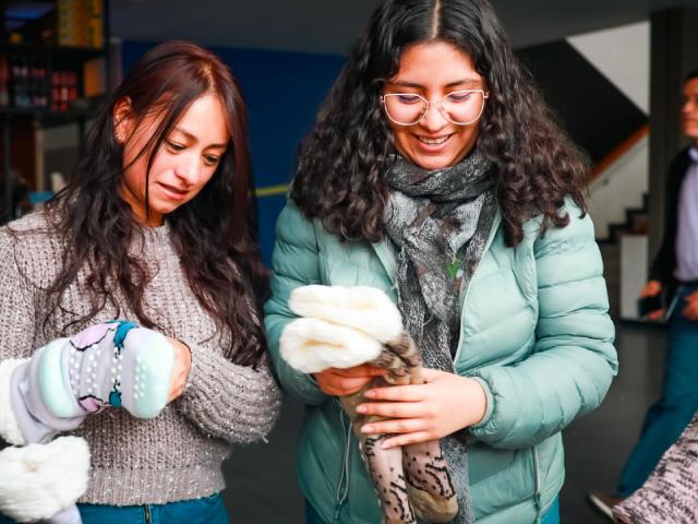 Mujeres emprendedoras