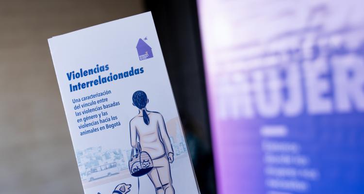 Violencias interrelacionadas 