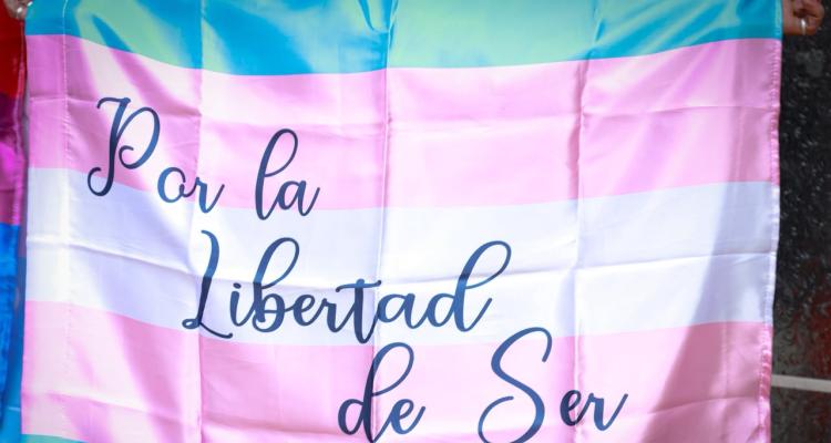 Bandera trans